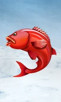 Ice Fishing